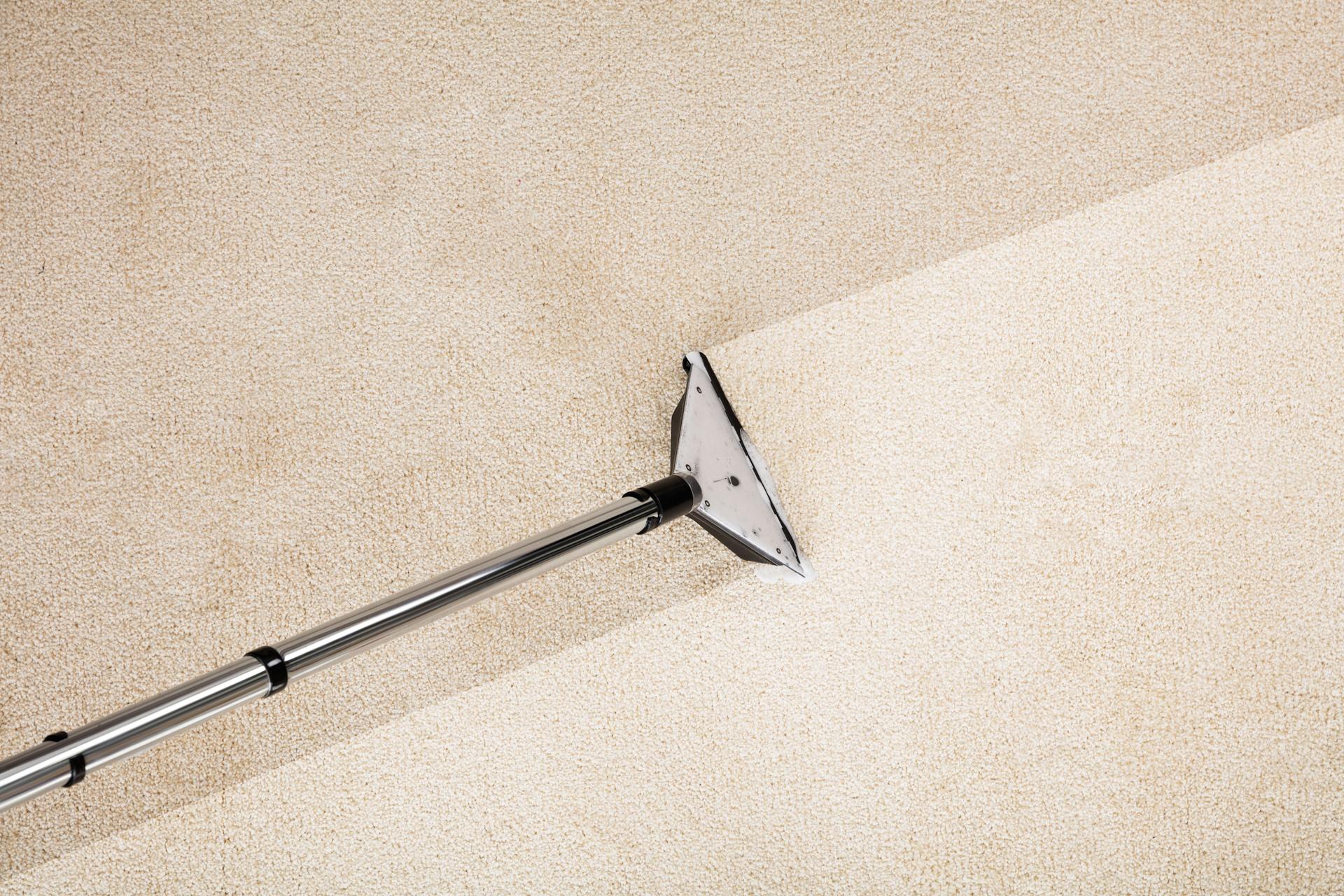Vacuum Cleaner With Carpet